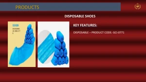 Disposable Shoe