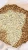 Import Robustha Coffee Beans from Indonesia