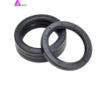 Oil Seal