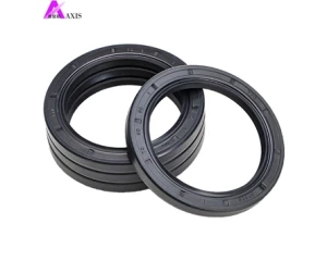 Oil Seal