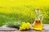 Refined Bleached Deodorized Rapeseed Oil, Canola Oil