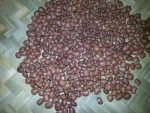 red cowpeas