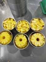 Canned Pineapple 20OZ