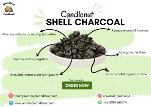 Candlenut Shell Charcoal