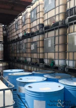 Manuka Honey - Bulk