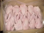 Brazilian Halal Frozen Whole Chicken And Parts / Thighs / Feet / Paws / Drumsticks