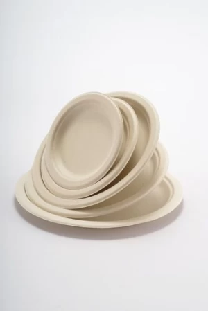 Sugarcane bagasse pulp biodegradable and compostable disposable plate Round