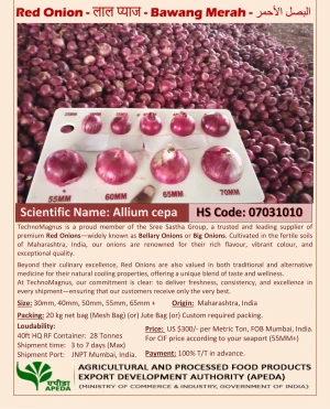 Red Onion