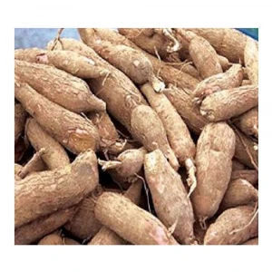 Higher Quality Organic Fresh Cassava in Best Rates