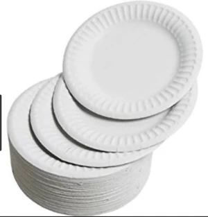 Wholesale Paper Plates White Disposable Paper Plates
