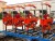 Import Hydraulic Railway Ballast Tamping Equipment rail tamping machine for rail maintenance work from China