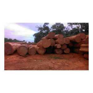 Buy Bulk Azobe Wood Blocks With Factory Price from APEX CORE GLOBAL ...
