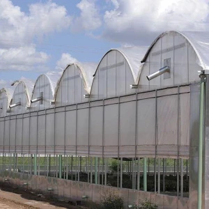 Skyplant Commercial PE Film Greenhouse Agricultural Multi Span Greenhouse Skeleton