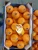 Import Fresh Mandarin wholesale from Egypt