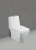 Import One piece toilet from India