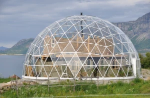 Geodesic Structure