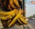 Import Banana from Indonesia