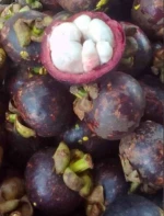 Fresh Mangosteen