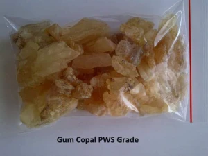 Gum Copal
