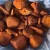 Import Quality Dried Cow Ox Gallstones / Cattle gallstones from South Africa