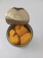 Canned tropical fruits