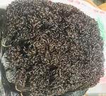 Vanilla pods from Madagascar