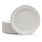 10 Inch 100% Biodegradable & Compostable bagasse wholesale disposable wedding paper plates