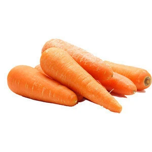 100% Organic Fresh Carrots from the Farm