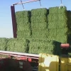 100% Pure Alfalfa Hay/Timothy Hay/Lucerne Hay For Animal Feed