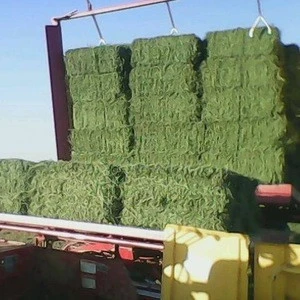 Buy 100% Pure Alfalfa Hay/timothy Hay/lucerne Hay For Animal Feed from SARL  CERANIT, France 