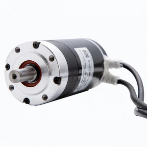 12N.m DC24V continuous rated torque0.32N.m drive dcmotor 24v 100w speed gate dc servo motor
