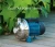 Import 12v 1gpm dc ELECTRIC  power mini agricultural irrigation mist sprayer water pump for herbicide from China