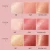 Import 2 In 1 Blush Highlighter Face Brightening Contour Make Up Wet High Gloss Powder Blusher from China