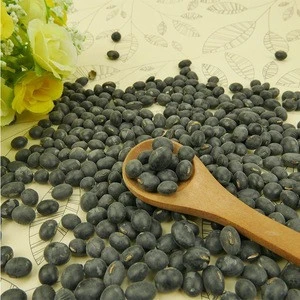 2018 Hot sale Big black bean with yellow kernel