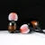 Import 2018 Mobile accessories true wired wooden in-ear earphone from China