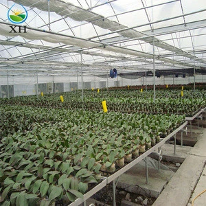 2018 New Product Agricultural/Commercial Plastic Greenhouse