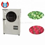 2020 Home Use Vegetable Freeze Vacuum Dryer Fruit Drying Machine