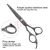 Import 2020 Hot Sale Stainless Steel Barber Hair Cutting Scissor / Black Coated Barber Hairdressing Shears from Pakistan