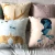 Import 2020 New Design Comfortable Pillow Cushion Decorate Covers Wooden Sofa Seat Cushion Sofa Cushion from China