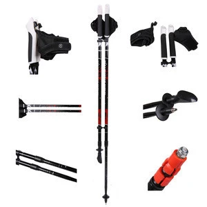 2020 spring hot sale outdoor fitness equipment two sections  alum / carbon fiber nordic walking pole.
