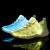 Import 2021 Glow Adults USB Rechargeable LOGO Customized Fiber Optic Shoes Led Light Shoes Luminous Sneaker Dance Shoes from China