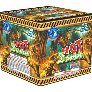 25 shots cake fireworks with factory wholesale price