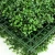Import 3-5 years warranty new fresh pe artificial boxwood hedge fence panel for home garden from China