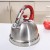 Import 3.5L Water Kettle Large Stovetop Whistling Tea Pot from China