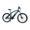 36V 350w  High Quality Lituium Battery Mountain Electric Cross Bike Bicycle