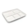 5-Comp Biodegradable & Compostable Sugarcane Bagasse disposable paper food packaging tray