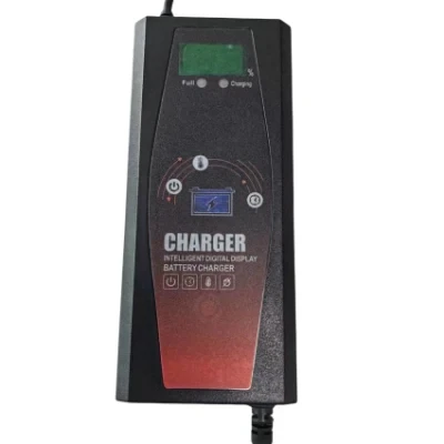 60V3a/60V20ah/Constant Current/Constant Voltage/with LED Light /Lithium-Ion Battery Pack Charger