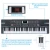 Import 61 keyboard Presents for the children  interactive toy stand piano musical keyboard toy electronic organ from China