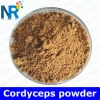 7% cordyceps sinensis extracts