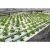 Import 75mm*50mm NFT channels food grade agricultural greenhouse  for hydroponic growing systems/soilless cultivation from China